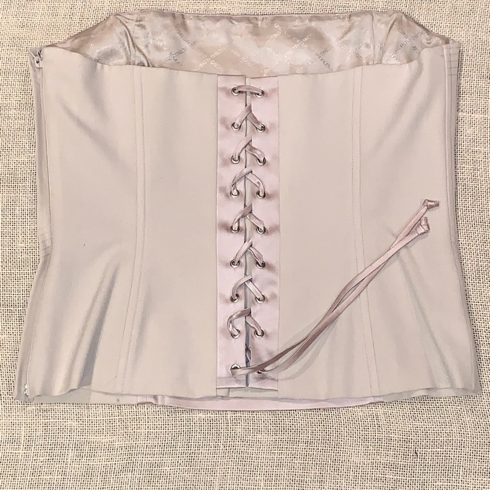 bcbgmaxazria vintage corset
